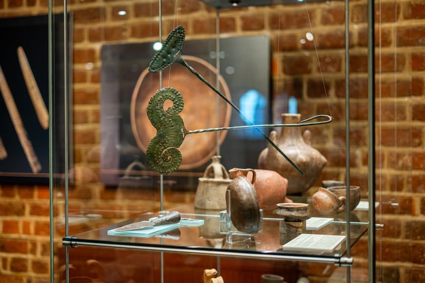 Wystawa Artificalia, naturalia, exotica w Muzeum Archeologicznym we Wrocławiu